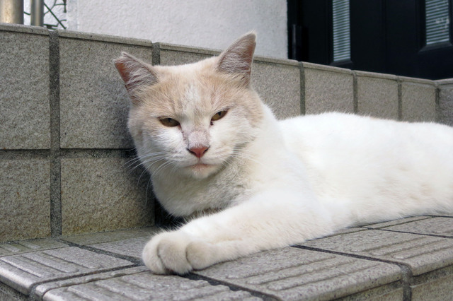 20180730_006.jpg