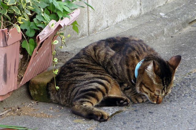 20180730_008.jpg
