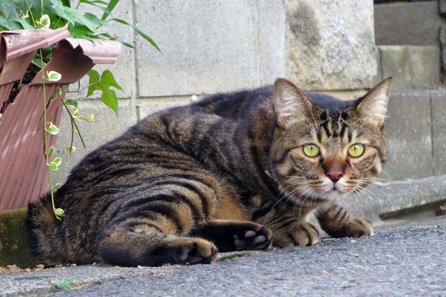 20180730_009.jpg