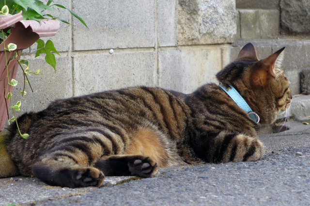 20180730_010.jpg