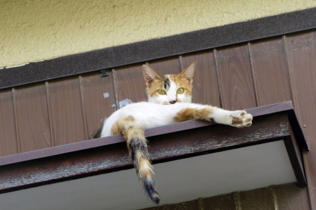 20180730_016.jpg