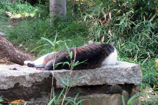 20180813_001.jpg