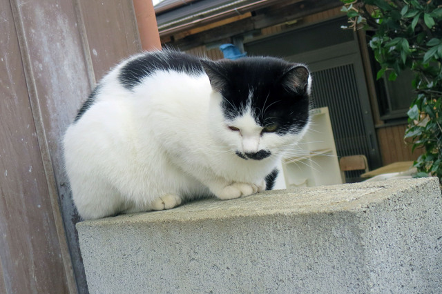 20181118_006.jpg