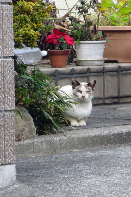 20181204_003.jpg
