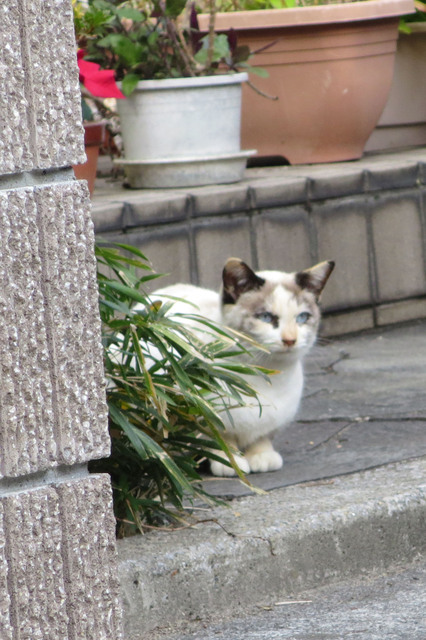 20181204_004.jpg