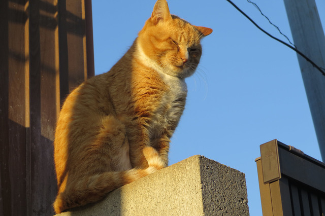 20190120_010.jpg