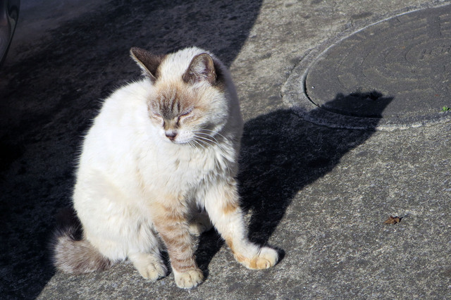 20190319_003.jpg