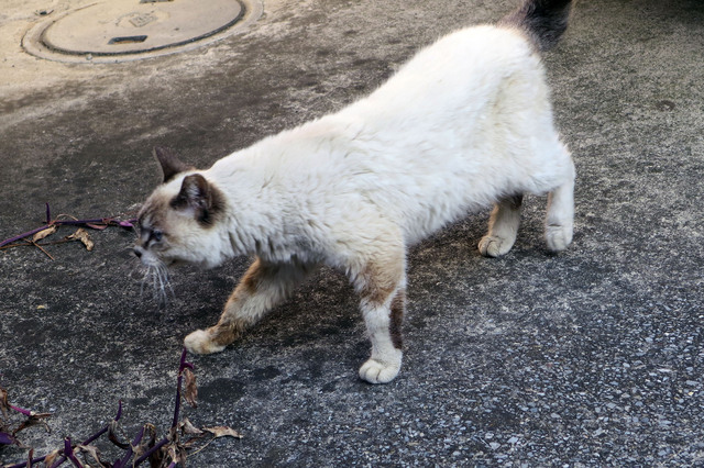 20190319_005.jpg