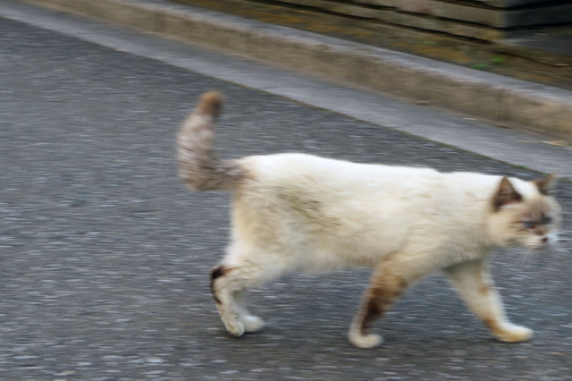 20190319_006.jpg