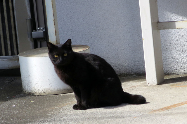 20190411_001.jpg
