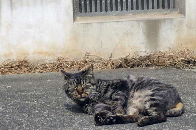 20190419_001.jpg