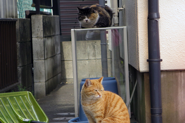20190419_004.jpg