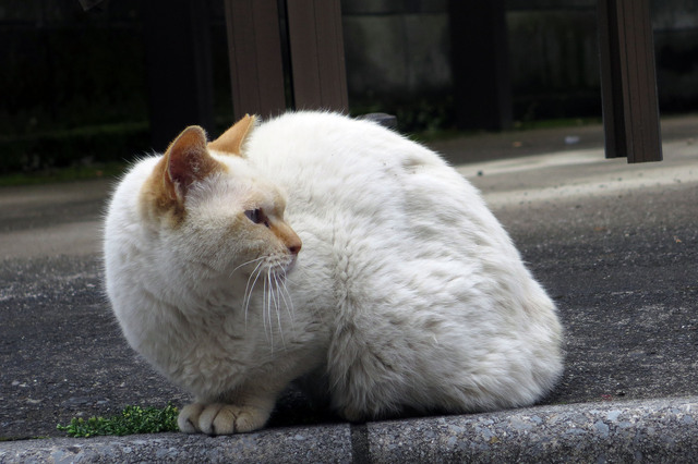 20190501_002.jpg