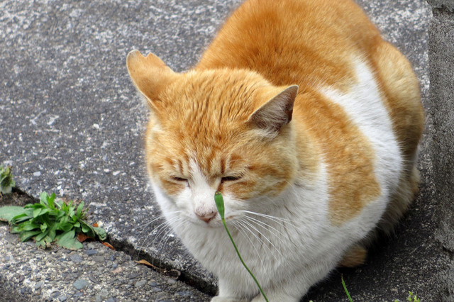 20190501_005.jpg