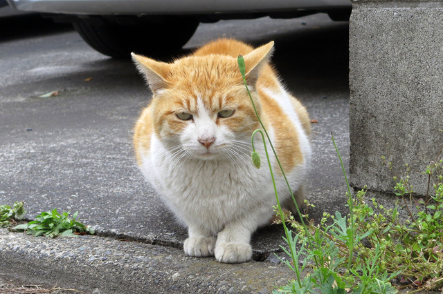 20190501_006.jpg