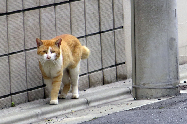 20190501_008.jpg