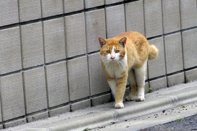 20190501_009.jpg
