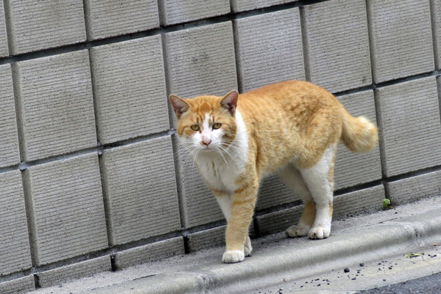 20190501_010.jpg
