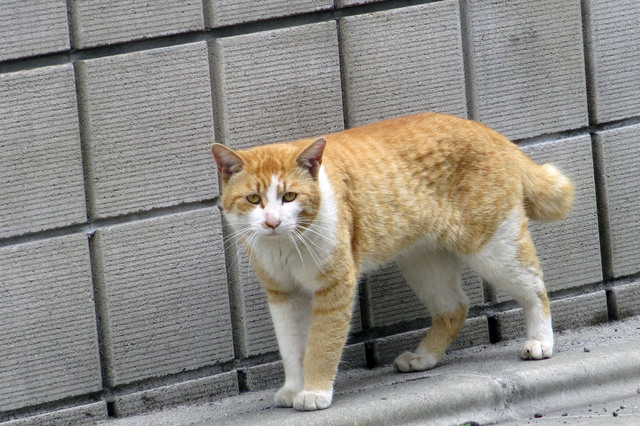 20190501_011.jpg