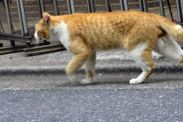 20190501_013.jpg