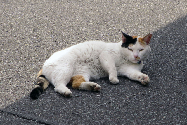 20190503_007.jpg