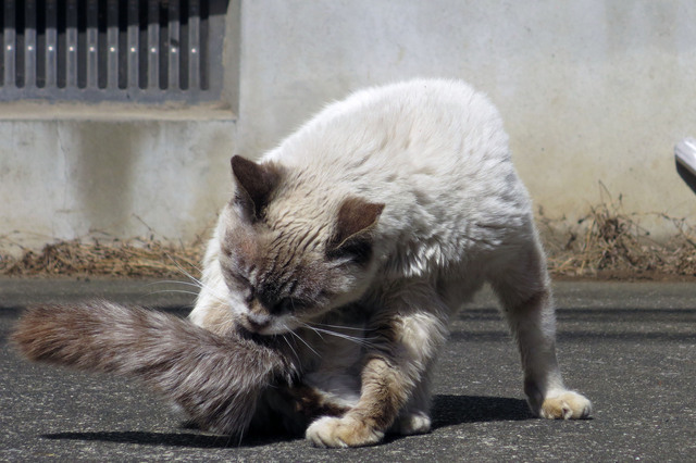 20190508_002.jpg