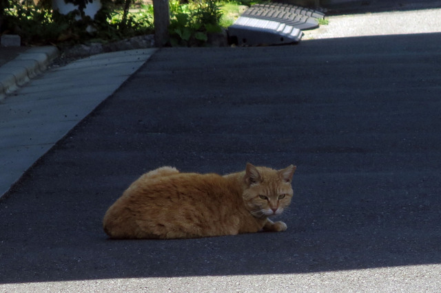 20190508_007.jpg