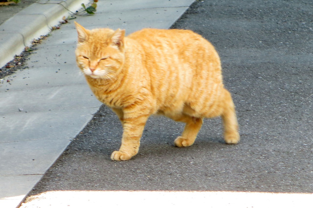 20190508_008.jpg