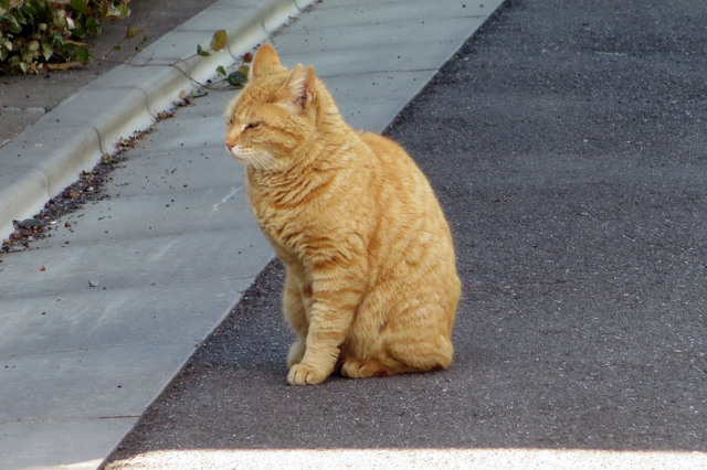 20190508_009.jpg