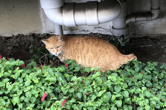 20190521_001.jpg