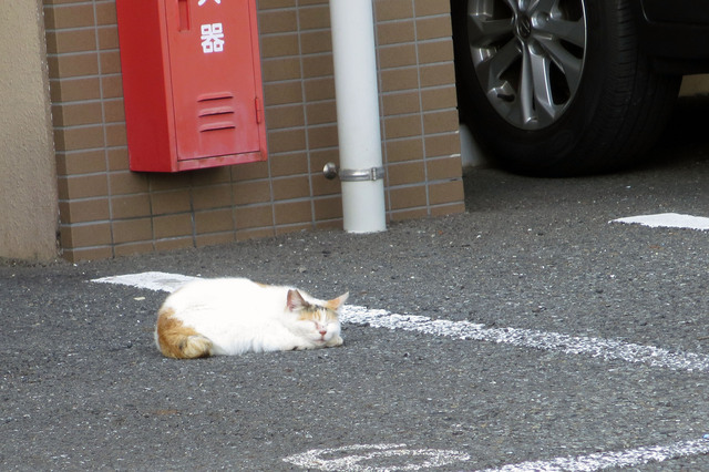 20190523_001.jpg