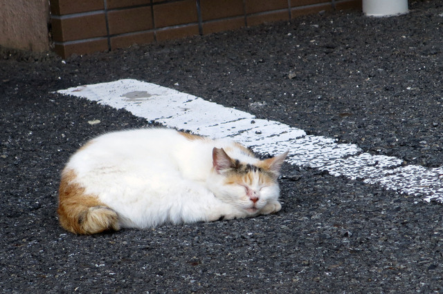 20190523_002.jpg