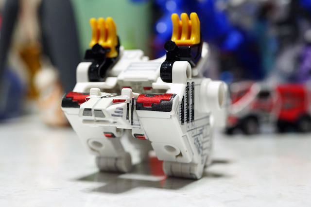 CUBE_TIGER_003.jpg
