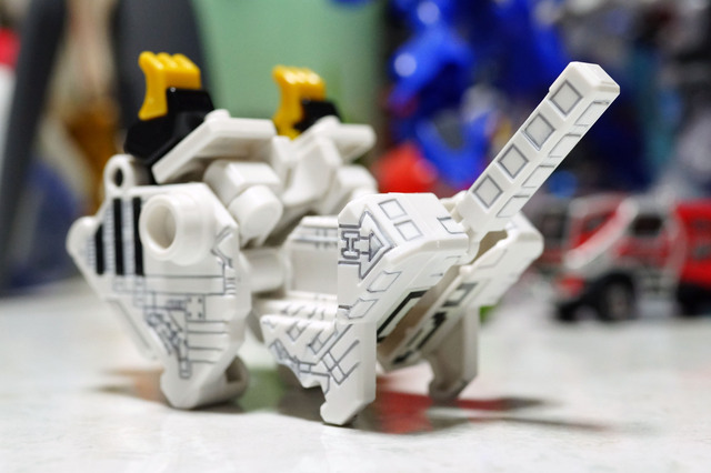 CUBE_TIGER_004.jpg