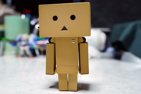 DANBOARD_mini_010.jpg