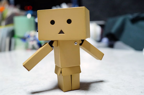 DANBOARD_mini_011.jpg