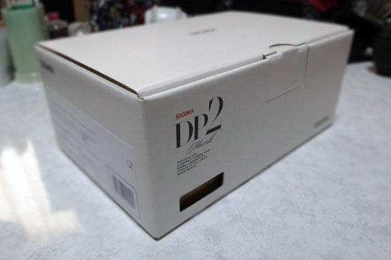 DP2_Merrill_001.jpg