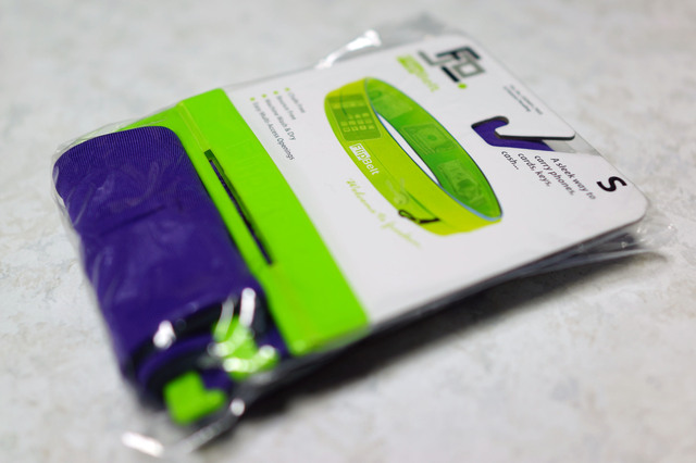 FlipBelt_005.jpg