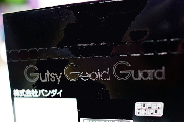 GAOGAIGAR_007.jpg