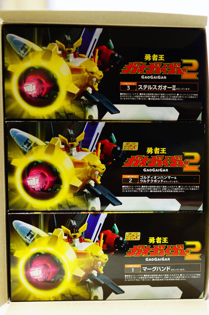GAOGAIGAR_008.jpg