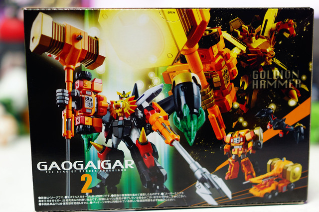 GAOGAIGAR_010.jpg