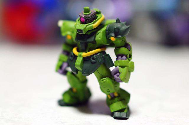GEARA_DOGA_005.jpg
