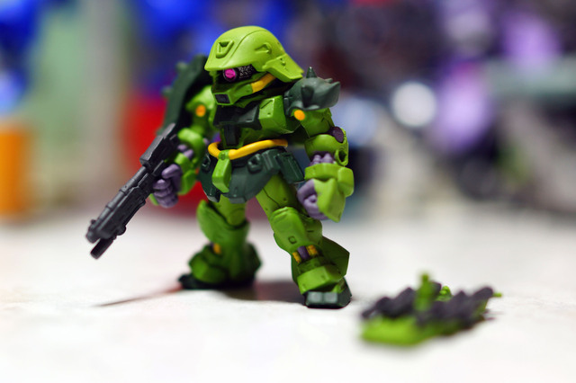 GEARA_DOGA_007.jpg