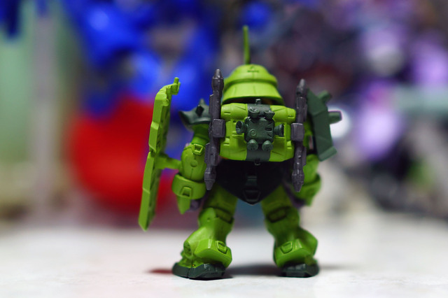 GEARA_DOGA_011.jpg