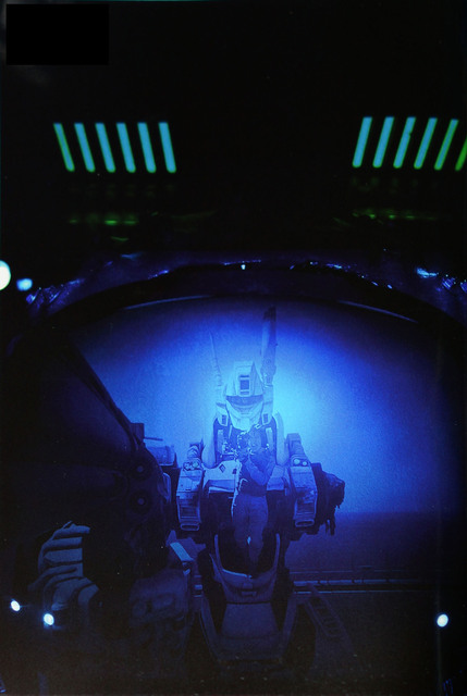 GRAY_GHOST_002.jpg