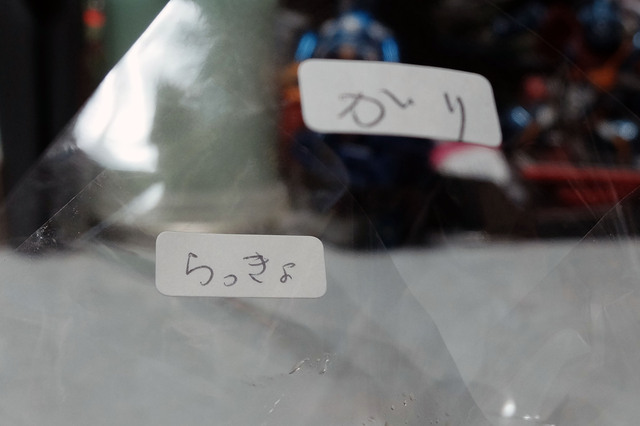 HanaInari_004.jpg
