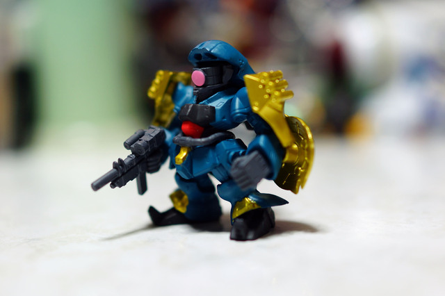 JAGD_DOGA_003.jpg