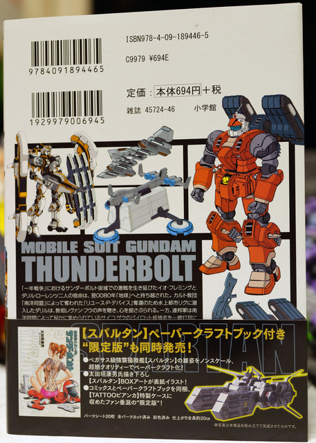 MS_GUNDAM_THUNDERBOLT_007.jpg
