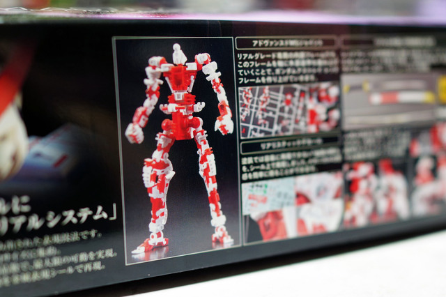 RG_GUNDAM_ASTRAY_RED_FRAME_002.jpg