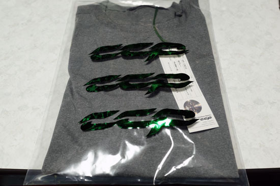 ST_CA02_001.jpg
